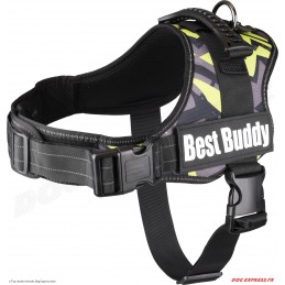 Harnais Best Buddy Pluto...