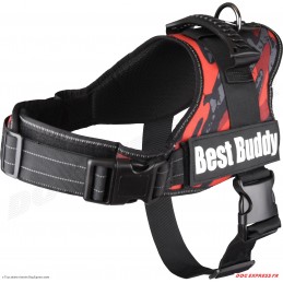 Harnais Best Buddy Pluto...