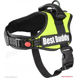 Harnais Best Buddy Pluto Neon Vert