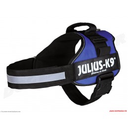 Harnais Power Julius-K9® bleu