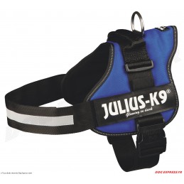 Harnais Power Julius-K9® bleu