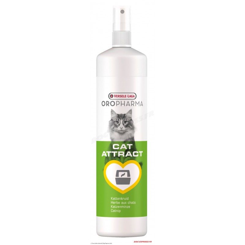 Spray à l'herbe à chat - catnip spray