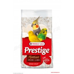 Prestige Premium Marine Fond de Cage - V. Laga - blanc avec coquilles d'huîtres