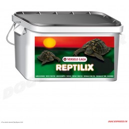 Reptilix Tortues terrestres...