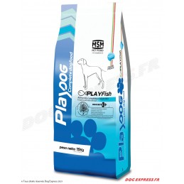 PLAYDOG MAINTENANCE Poisson