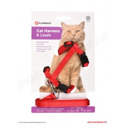 Harnais pour chat + Laisse...