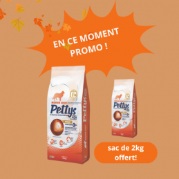 PETTYS MEDIUM ADULT Poulet...
