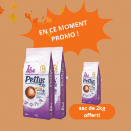 PETTYS ALL BREEDS PUPPY...