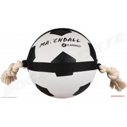 Jouet chien Matchball Balle...