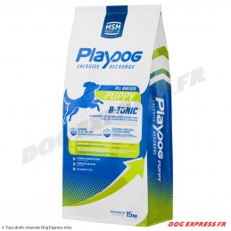 PLAYDOG FUTURE Chiots