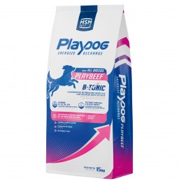 PLAYDOG MAINTENANCE Beef