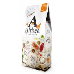 Althéa Puppy Moyennes 12345689