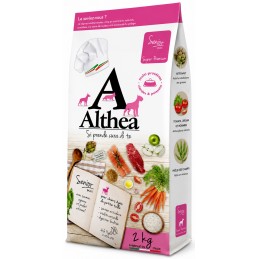 ALTHEA Senior – Mini...