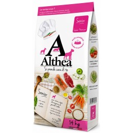 ALTHEA Senior – Moyennes...