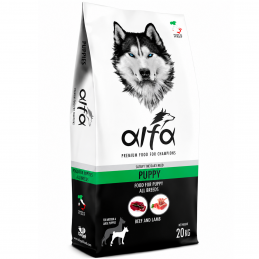 ALFA – Puppy