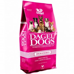 DAGEL – Haute Énergie