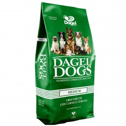 DAGEL – Actif