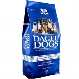 DAGEL – Entretien