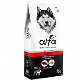 ALFA – Performance