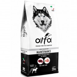 ALFA – Maintenance