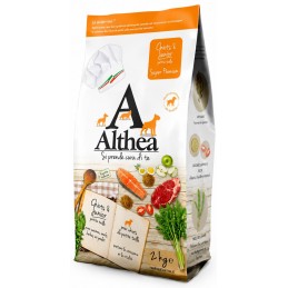 ALTHEA Puppy – Mini...