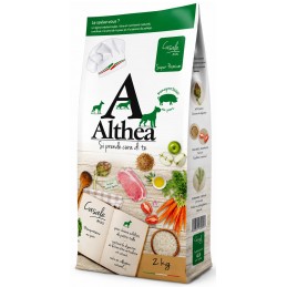 ALTHEA Casale – Mini Adult...