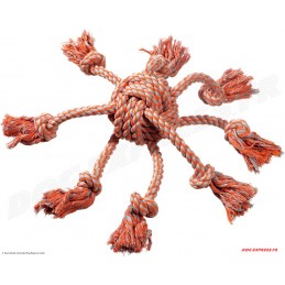 Jouet chien Coton James...