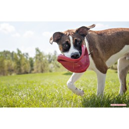 Kong Flyer Frisbee