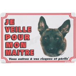 Panneau Malinois