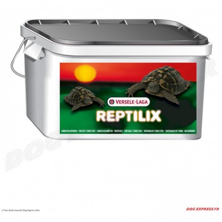 Alimentation tortue terrestre