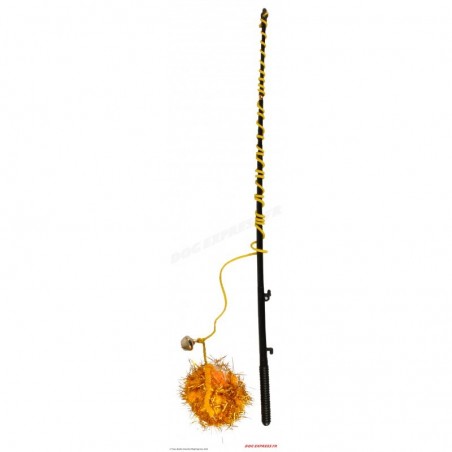 Canne à pêche et jeux à ficelle