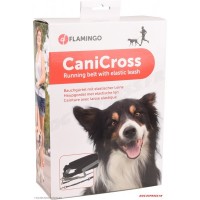 Canicross sport