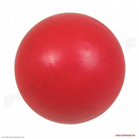Balle et ballon pour chien