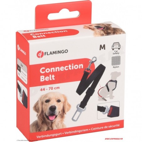 Ceinture Laisse et Harnais Auto