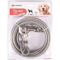 Câble d'attache pour chien, tirolliénne