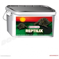 Univers TORTUE