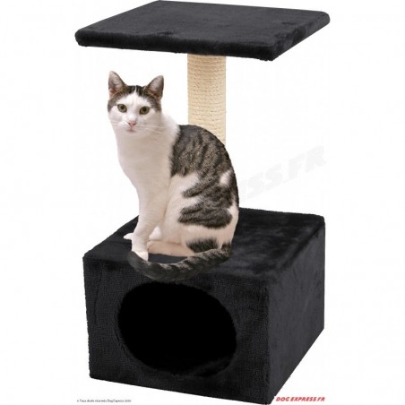 Arbre à chat   Griffoir