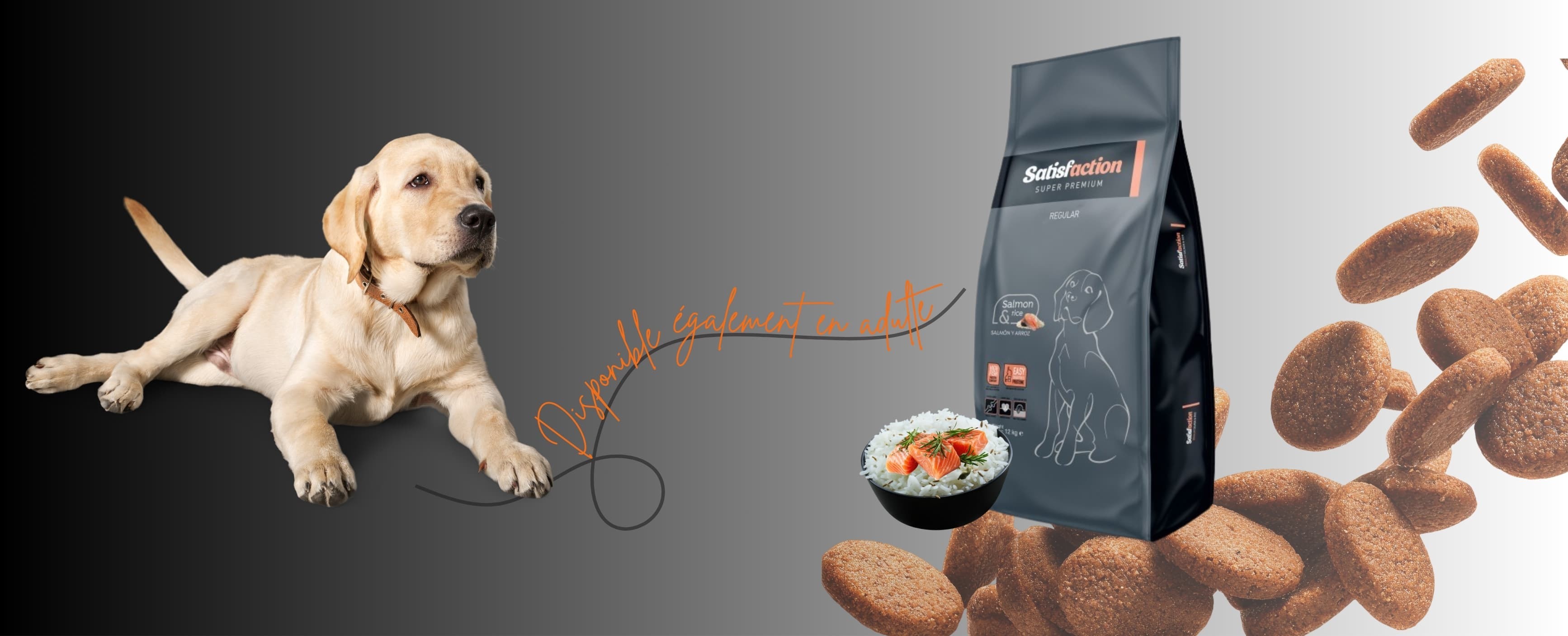 Croquettes super premium au saumon et riz pour chiens adultes. Hypoallergéniques, digestes, idéales pour la peau, le pelage, les articulations et le cœur.